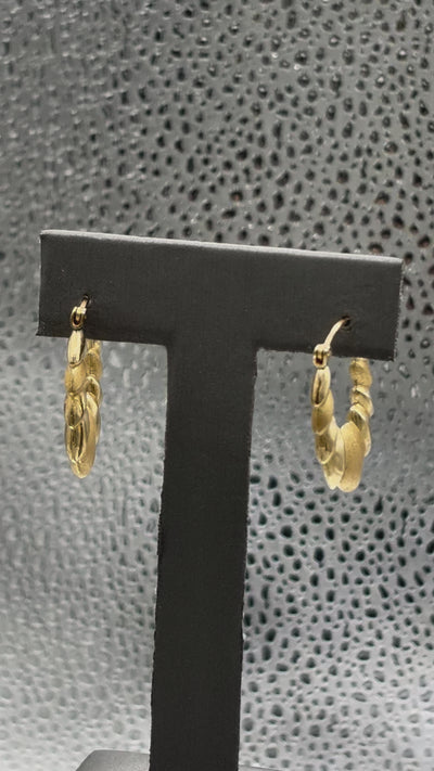 Movie of Ladies 14 Karat Yellow Gold Twin Finish Acorn Hoop Earrings