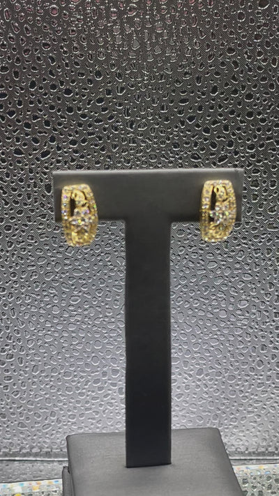 Movie of Ladies 14 Karat Solid Yellow Gold Cubic Zirconia Earrings